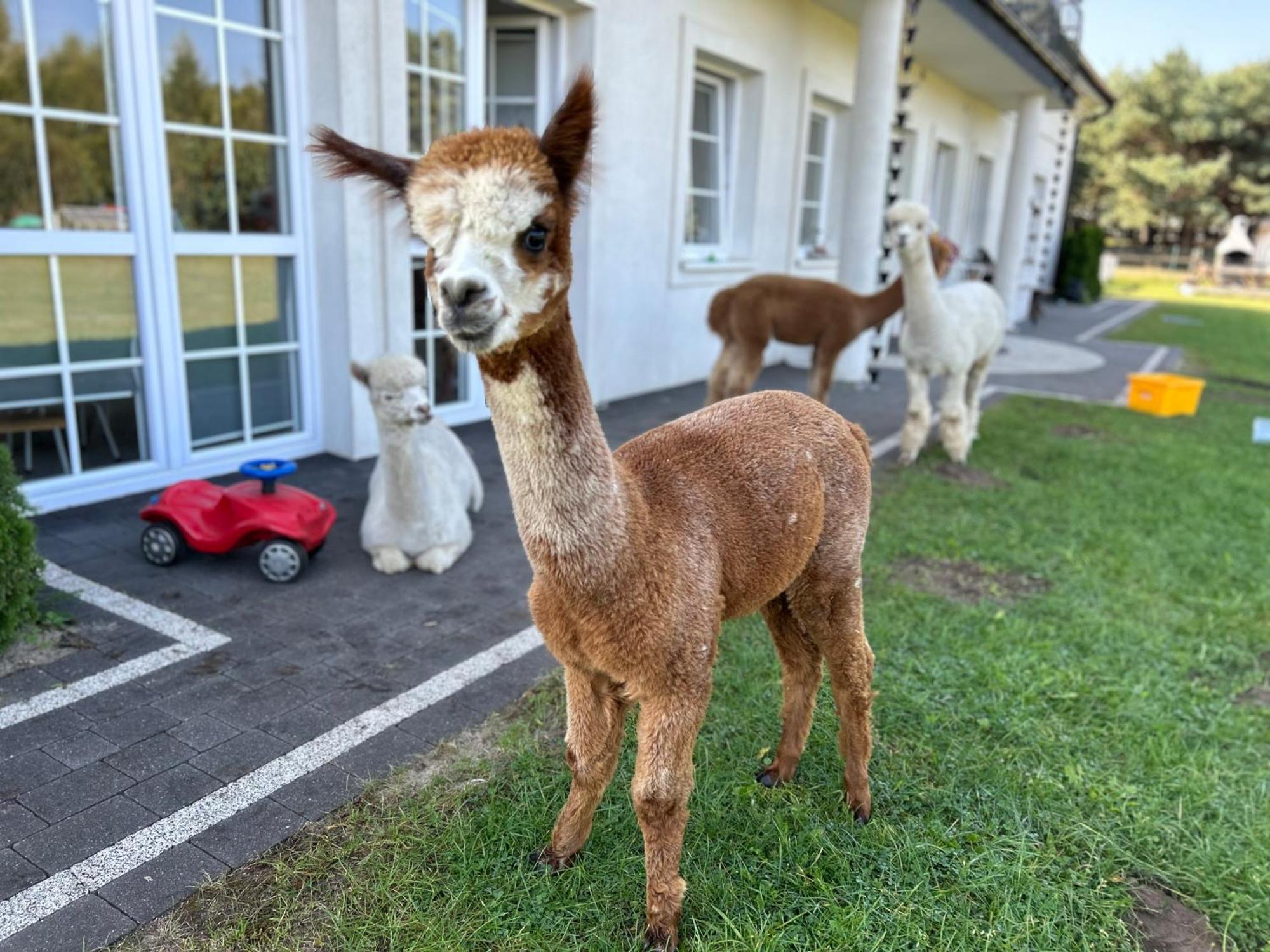 Apartamenty Gora ベジヘロボ エクステリア 写真